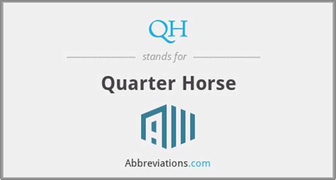 what does qh stand for.